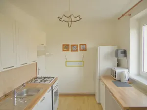 Prodej bytu 3+1, Bechyně, Na Libuši, 59 m2