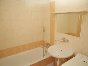 Prodej bytu 3+1, Bechyně, Na Libuši, 59 m2