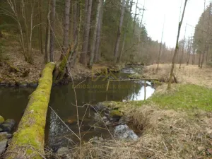 Prodej chaty, Žár - Žumberk, 40 m2
