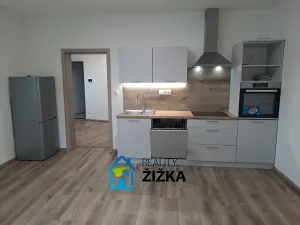 Pronájem bytu 2+kk, Brno, Burianovo náměstí, 43 m2