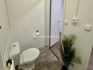 Pronájem bytu 1+1, Děčín - Děčín II-Nové Město, Lipová, 36 m2