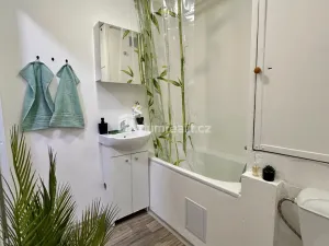 Pronájem bytu 1+1, Děčín - Děčín II-Nové Město, Lipová, 36 m2