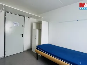 Prodej, Planá, 300 m2