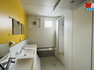 Prodej, Planá, 300 m2