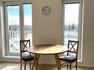 Pronájem bytu 1+kk, České Budějovice - České Budějovice 5, Dobrovodská, 41 m2