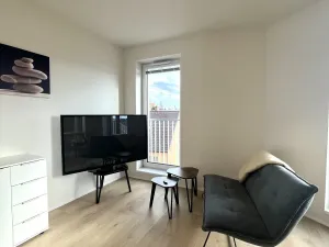 Pronájem bytu 1+kk, České Budějovice - České Budějovice 5, Dobrovodská, 41 m2