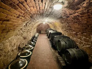 Prodej ubytování, Valtice - Úvaly, 101 m2