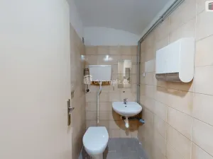 Pronájem komerční nemovitosti, Opava - Předměstí, Pekařská, 120 m2