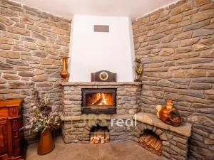 Prodej - jiné, Čejkovice, 468 m2