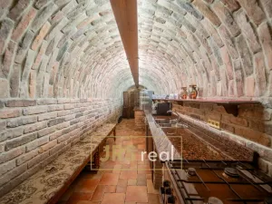 Prodej - jiné, Čejkovice, 468 m2