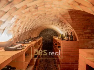 Prodej - jiné, Čejkovice, 468 m2