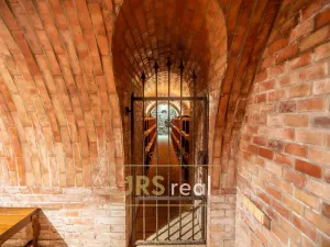 Prodej - jiné, Čejkovice, 468 m2