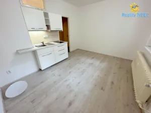 Pronájem bytu 1+kk, Praha - Žižkov, Baranova, 20 m2