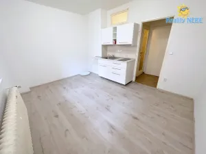 Pronájem bytu 1+kk, Praha - Žižkov, Baranova, 20 m2