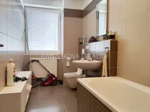 Pronájem bytu 2+kk, České Budějovice - České Budějovice 2, U Boru, 38 m2