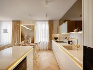 Pronájem bytu 3+kk, Praha - Staré Město, U milosrdných, 114 m2