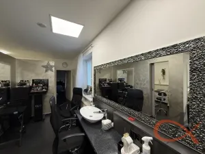 Prodej komerční nemovitosti, Prostějov, Blahoslavova, 250 m2