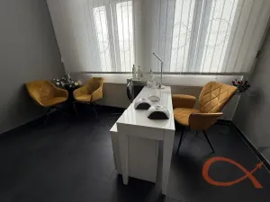 Prodej komerční nemovitosti, Prostějov, Blahoslavova, 250 m2