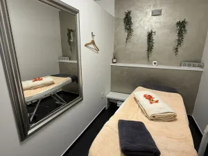 Prodej komerční nemovitosti, Prostějov, Blahoslavova, 250 m2