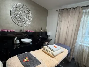 Prodej komerční nemovitosti, Prostějov, Blahoslavova, 250 m2