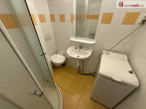 Pronájem bytu 1+kk, Praha - Smíchov, Kmochova, 25 m2