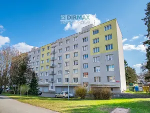 Prodej bytu 3+1, Plzeň - Jižní Předměstí, 17. listopadu, 62 m2