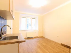 Pronájem bytu 2+kk, Praha - Dejvice, Koulova, 40 m2