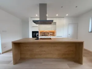 Pronájem domu na klíč, Chomutov, Březový vrch, 110 m2