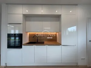 Pronájem domu na klíč, Chomutov, Březový vrch, 110 m2