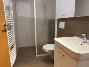 Pronájem bytu 1+kk, Brno, Vinohrady, 38 m2