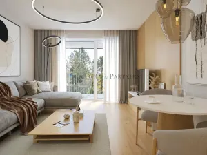 Prodej bytu 2+kk, Ostrava - Zábřeh, Petruškova, 53 m2