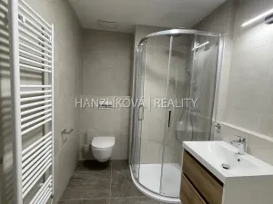 Pronájem bytu 1+kk, České Budějovice, Hálkova, 24 m2