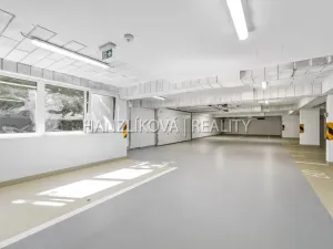 Pronájem bytu 1+kk, České Budějovice, Hálkova, 24 m2