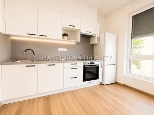 Pronájem bytu 1+kk, České Budějovice, Hálkova, 24 m2