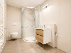 Pronájem bytu 1+kk, České Budějovice, Hálkova, 24 m2