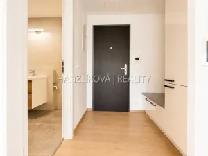 Pronájem bytu 1+kk, České Budějovice, Hálkova, 24 m2