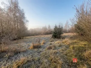 Prodej pozemku pro bydlení, Strašín, 3363 m2