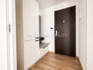 Pronájem bytu 2+kk, České Budějovice, Hálkova, 40 m2