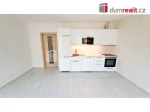 Pronájem bytu 1+kk, Praha - Veleslavín, Adamova, 31 m2