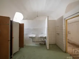 Prodej komerční nemovitosti, Chudenice, Mírové nám., 1906 m2