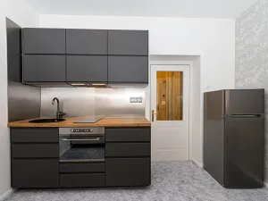 Pronájem bytu 1+kk, Praha - Vinohrady, Záhřebská, 30 m2