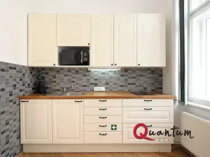 Pronájem bytu 4+1, Praha - Holešovice, Dukelských hrdinů, 146 m2