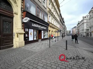 Pronájem bytu 4+1, Praha - Holešovice, Dukelských hrdinů, 146 m2