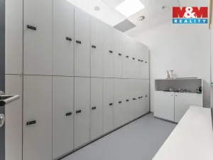 Pronájem komerční nemovitosti, Praha, Jihlavská, 30 m2