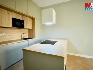 Pronájem bytu 2+kk, Opava - Předměstí, Riegrova, 56 m2