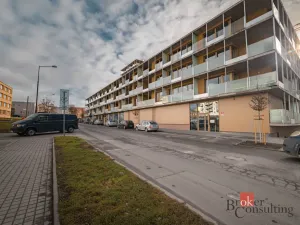 Pronájem bytu 1+kk, Plzeň - Východní Předměstí, Zahradní, 42 m2
