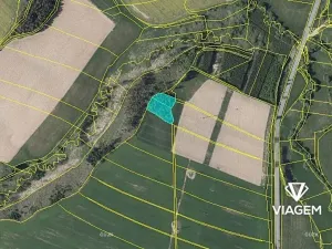 Prodej podílu lesa, Suchá, 1564 m2