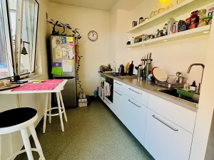 Pronájem bytu 1+1, Brno, Údolní, 51 m2