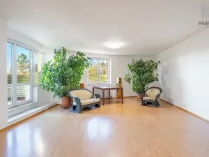 Prodej bytu 4+kk, Brno, 167 m2