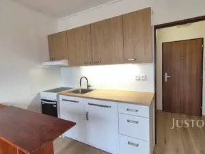 Pronájem bytu 1+1, Písek - Budějovické Předměstí, třída Přátelství, 36 m2